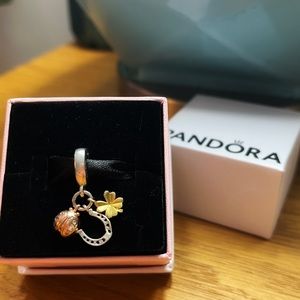 Authentic New Pandora moments lucky charm